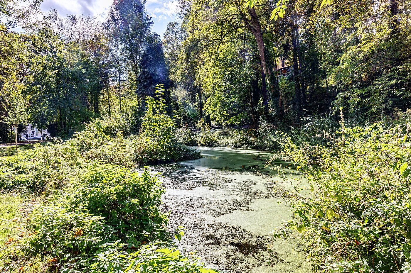 Appartamento a 2 camere | München-Thalkirchen | 70493 | Viel Natur