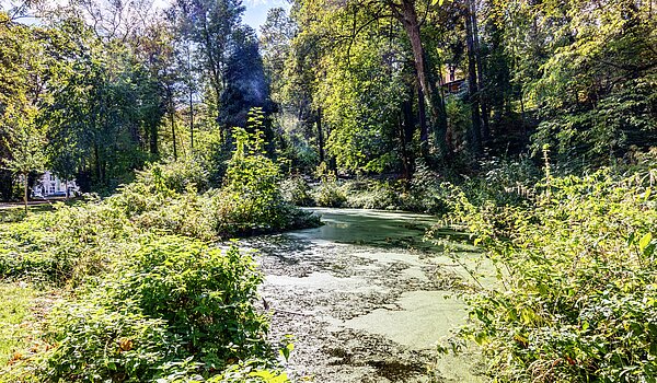 Appartamento a 2 camere | München-Thalkirchen | 70493 | Viel Natur