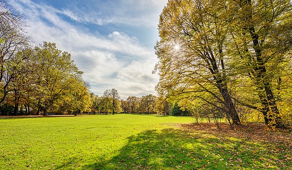 Apartment a 1 camera | München-Milbertshofen | 70188 | Naherholung