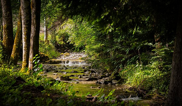 Appartamento al piano terra a 3 camere | Bad Wiessee | 70053 | Zeiselbach