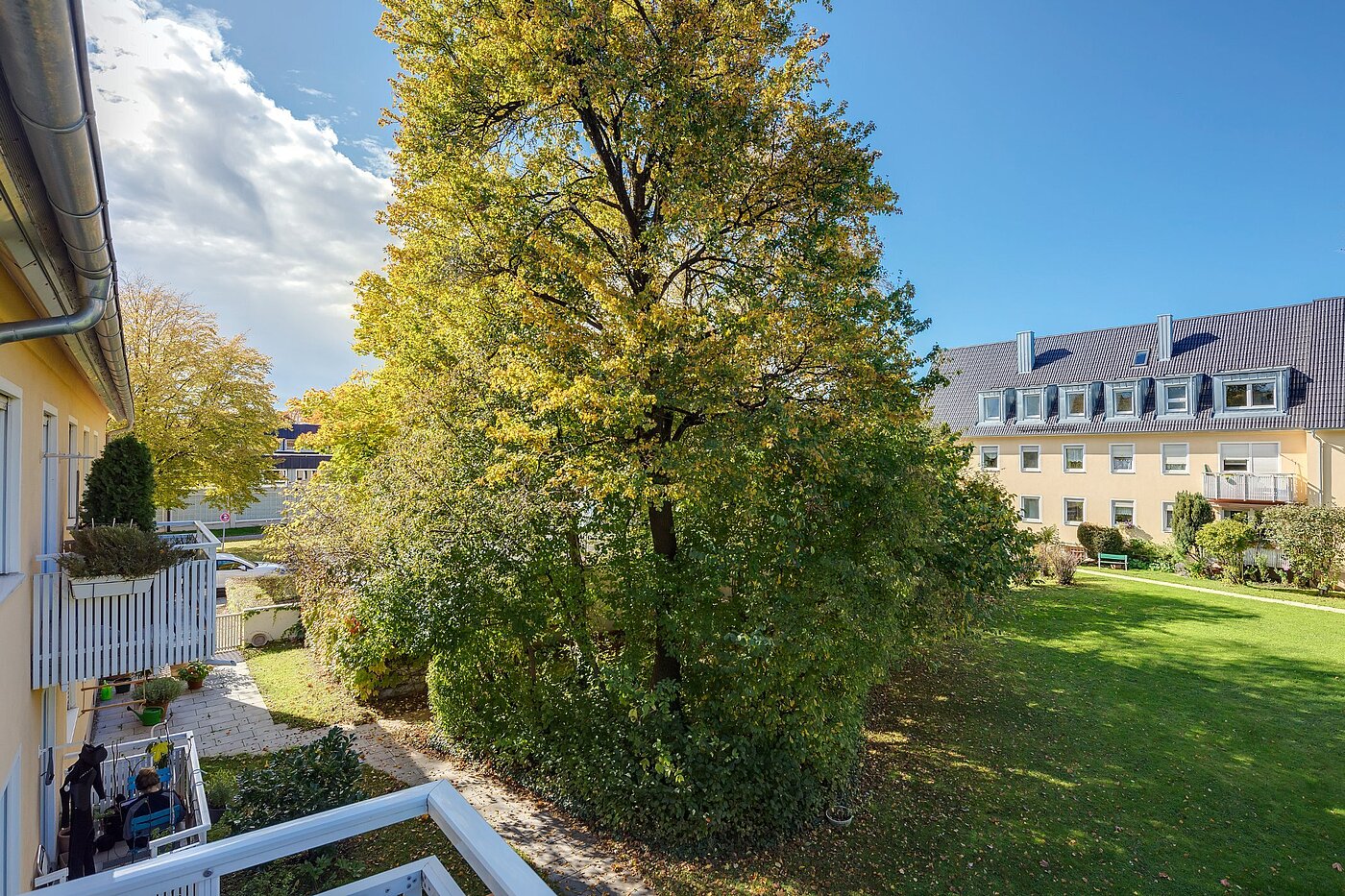 Appartamento a 3 camere | München-Untergiesing | 1909ML6 | Grünfläche
