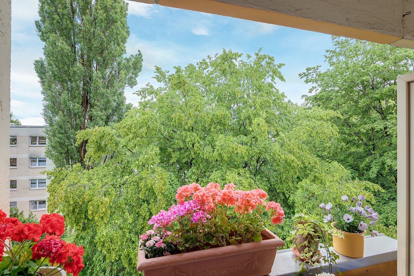 Appartamento a 1 camera | München-Forstenried | 2106ML6 | ...mit Blick ins Grüne