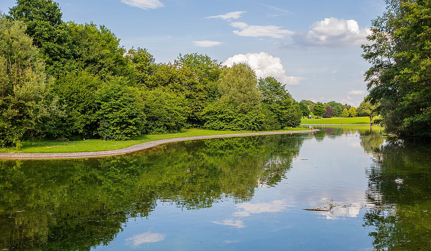 Apartment a 1 camera | 70308 | Umgebung