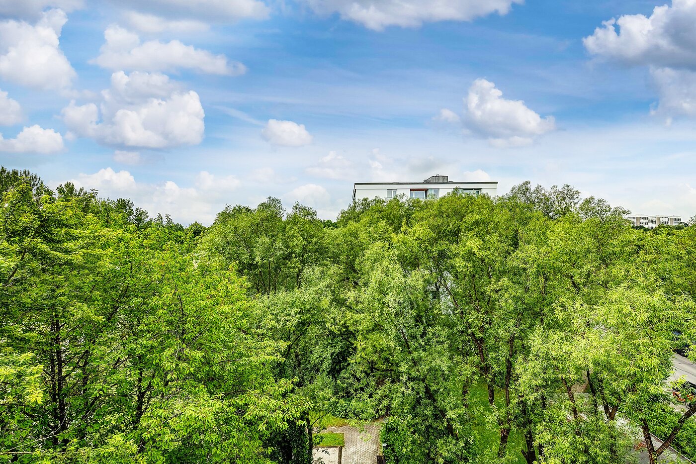 Appartamento a 2 camere | München-Bogenhausen | 2206ML3 | Sommerimpressionen