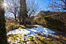 Casa a schiera d'angolo a 5.5 camere | München-Trudering | 702531 | Eingewachsener Garten | Thumbnail
