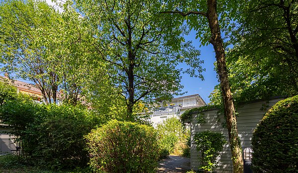 Appartamento al piano terra a 2 camere | München-Laim | 70464 | Durchgang und...