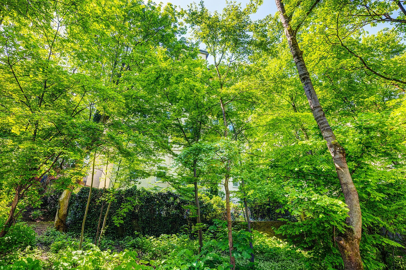 Appartamento a 2.5 camere | München-Sendling | 70067 | ...versteckt hinter Bäumen