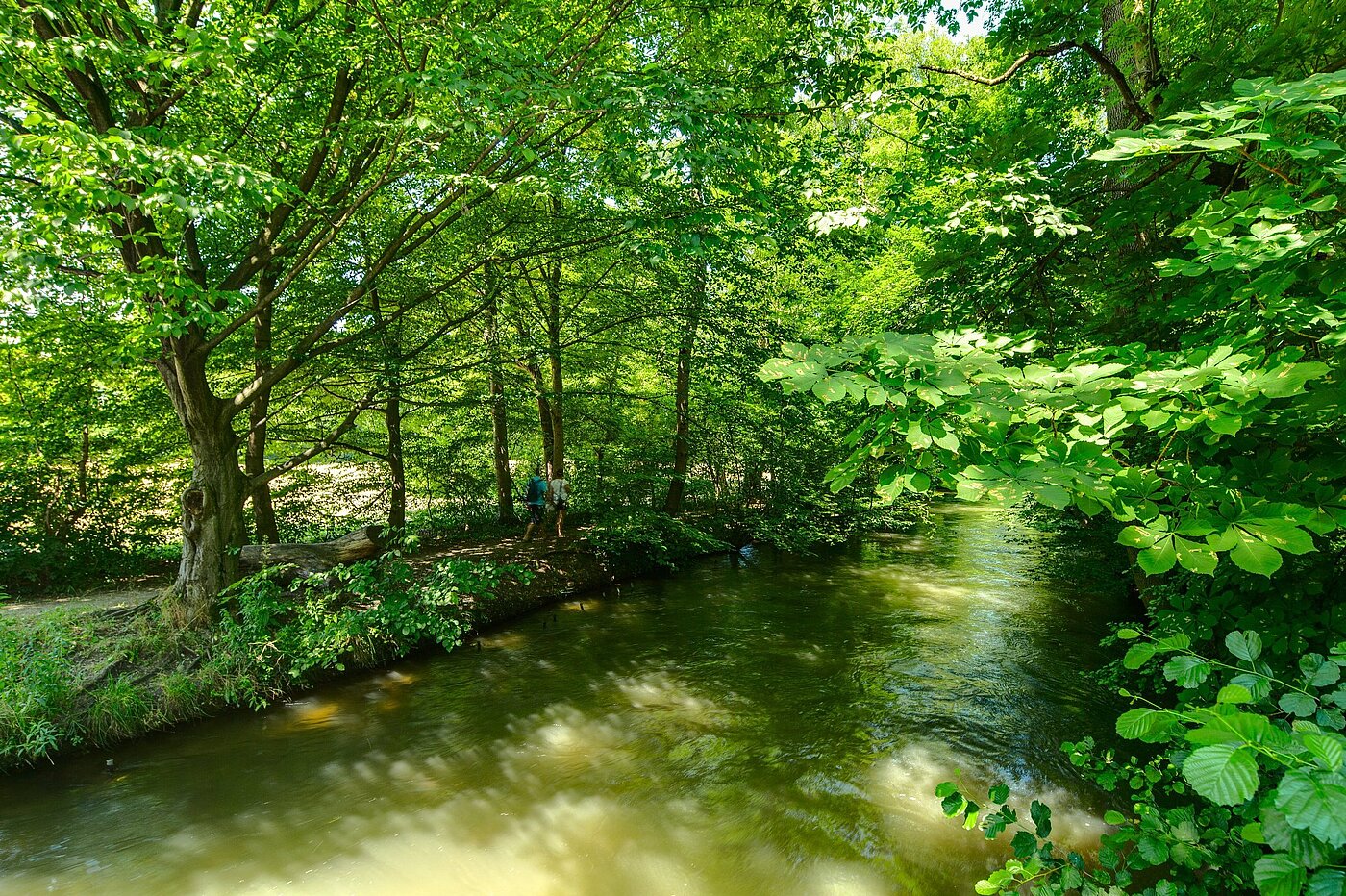 Casa bifamiliare a 6 camere | München-Pasing | 2007ML5 | Die Würm um die Ecke