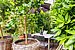 Appartamento al piano terra a 1 camera | München-Haidhausen | 70228 | ...Südfrüchten und... | Thumbnail