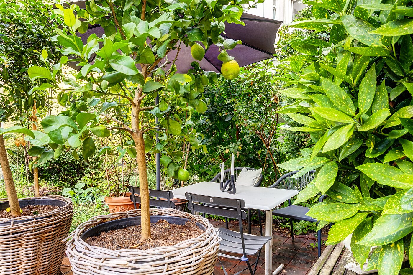 Appartamento al piano terra a 1 camera | München-Haidhausen | 70228 | ...Südfrüchten und...