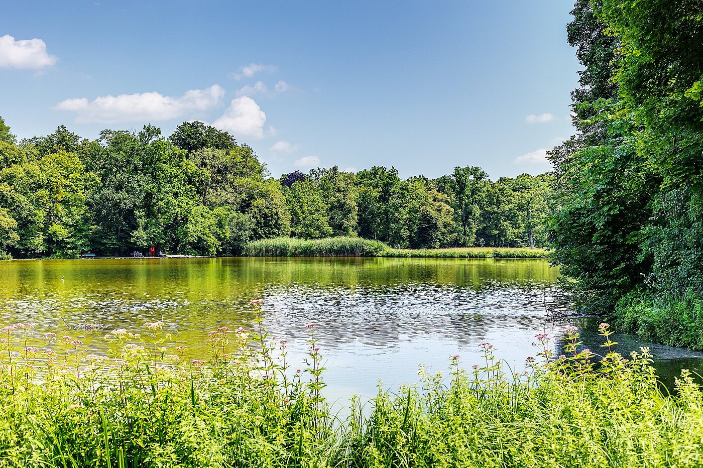 Appartamento a 2 camere | München-Nymphenburg | 2107ML3 | verweilen ein