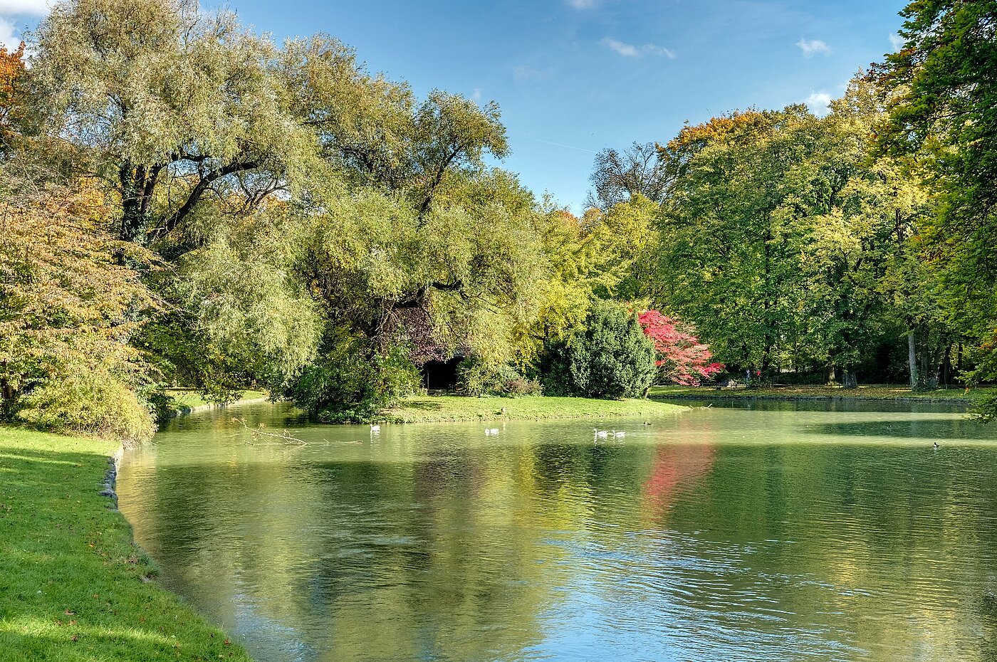 Piano rialzato a 2 camere | München-Lehel | 2012ML1 | Herbst im Englischen Garten