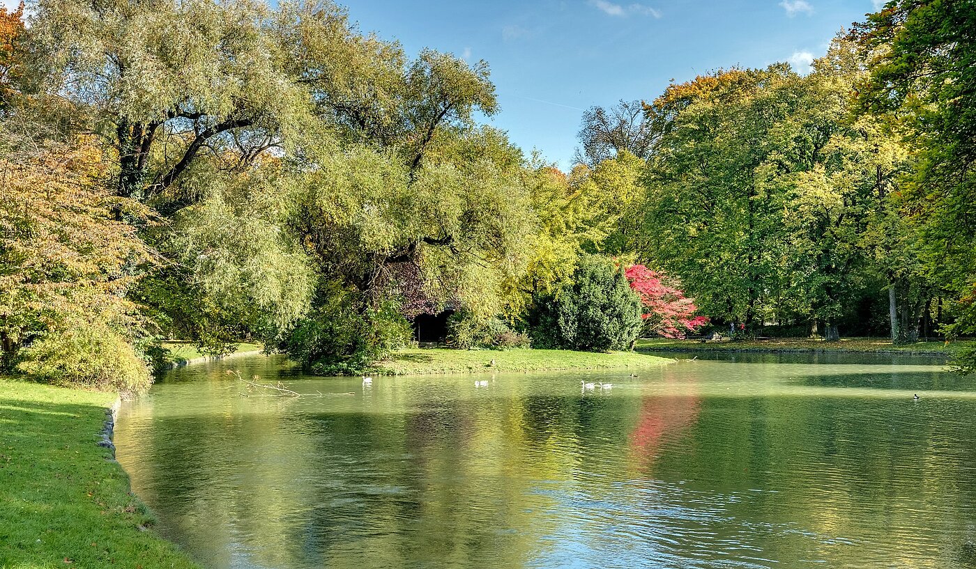 Piano rialzato a 2 camere | München-Lehel | 2012ML1 | Herbst im Englischen Garten