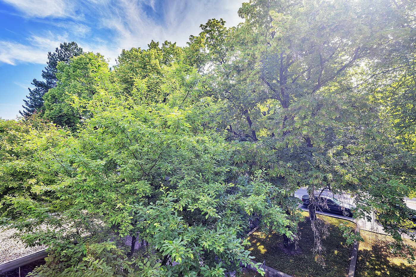 Appartamento a 3.5 camere | München-Bogenhausen | 70267 | ...Ausblick ins Grüne
