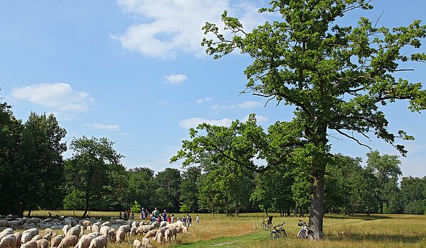 Penthouse a 3.5 camere | München-Oberföhring | 70237 | Englischer Garten