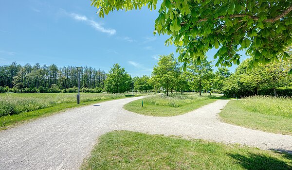 Casa a schiera d'angolo a 6 camere | München-Trudering | 70191 | ...Impressionen