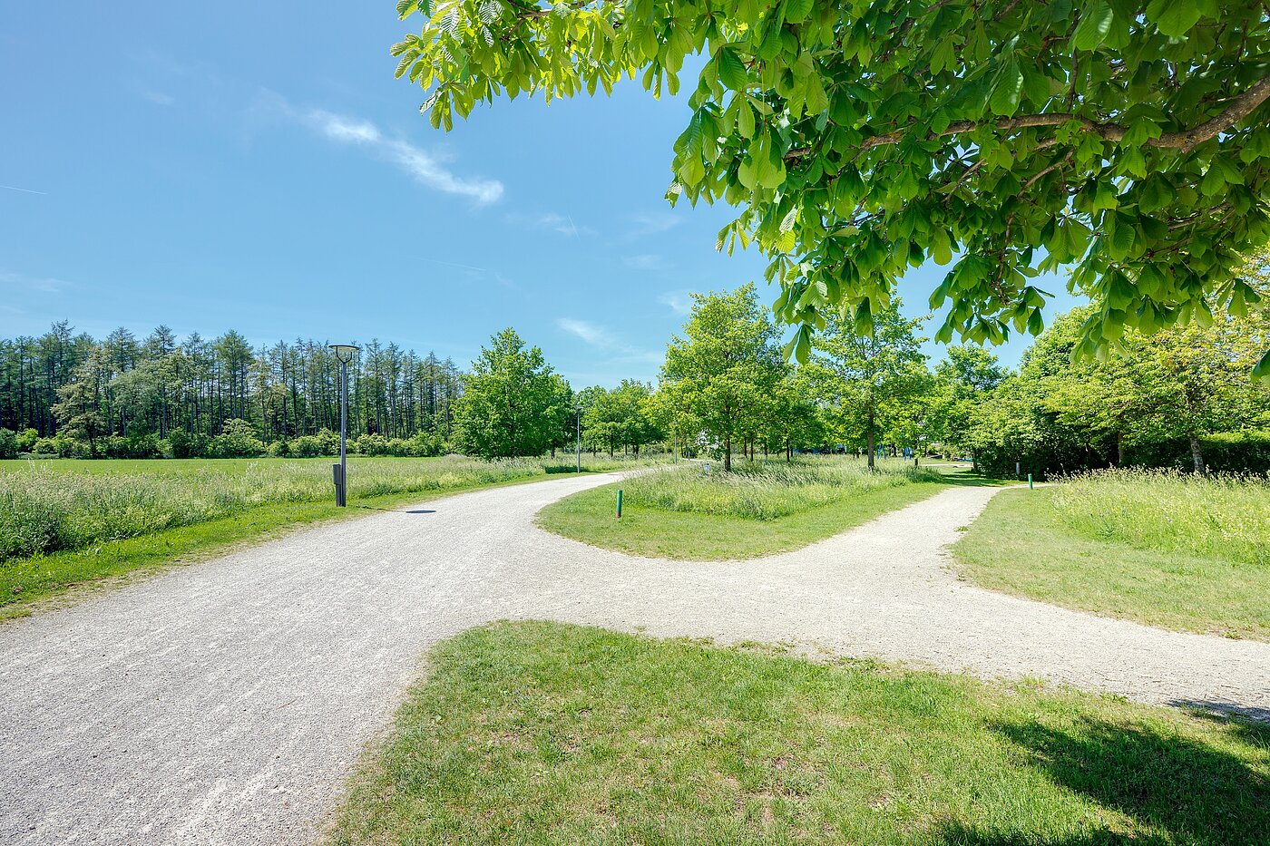 Casa a schiera d'angolo a 6 camere | München-Trudering | 70191 | ...Impressionen