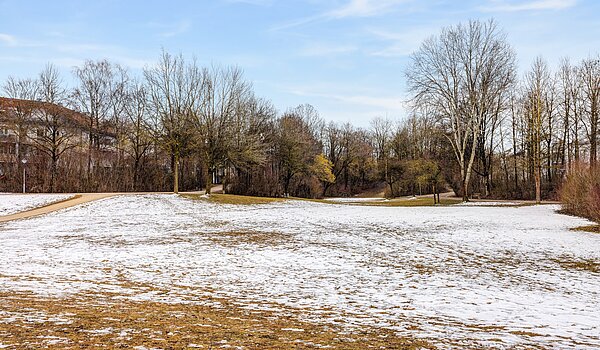 Appartamento a 2 camere | Poing | 70373 | Direkt nebenan