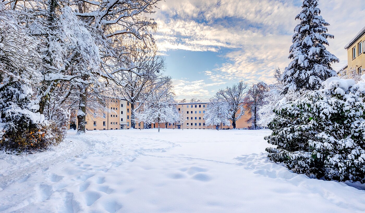 Appartamento a 1 camera | München | 70073 | Außenanlage