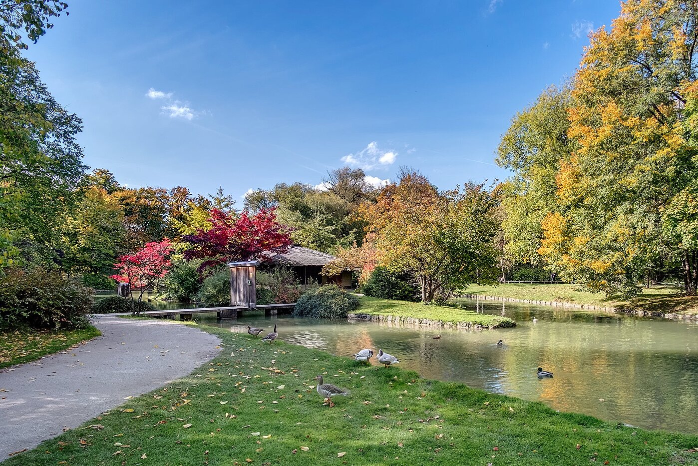 Appartamento a 3 camere | München-Schwabing | 1912ML4 | Englischer Garten um die Ecke