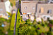 Casa a schiera d'angolo a 5.5 camere | München-Trudering | 702531 | Von oben | Thumbnail