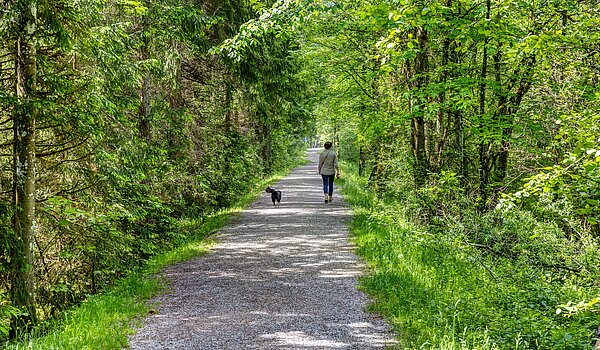 Appartamento a 6 camere | 70095 | Der Erlebnisweg an der Weissach