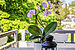 Appartamento a 3 camere | München-Trudering | 70443 | Sonniger Westbalkon | Thumbnail