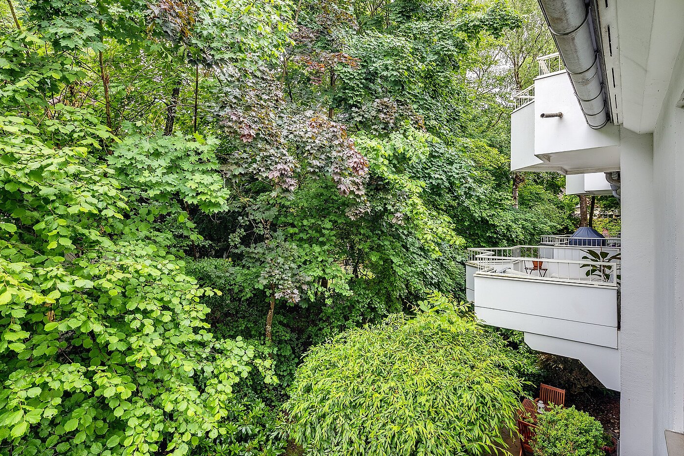 Appartamento a 3 camere | München-Harlaching | 2108ML3 | ...Blick in die grüne...