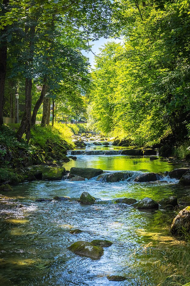 Proprietà speciale a 15 camere | Bad Wiessee | 701591 | Söllbach