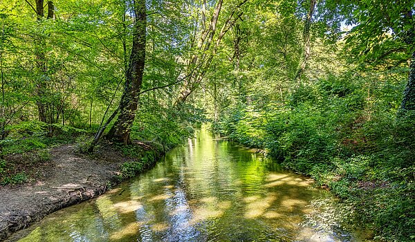 Appartamento Maisonette a 3 camere | München-Lehel | 2209ML5 | ...Englischen Garten...