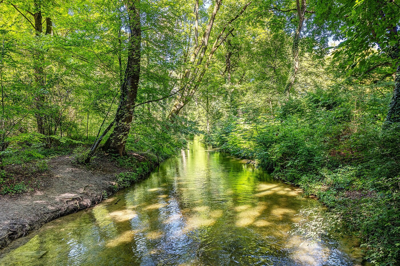 Appartamento Maisonette a 3 camere | München-Lehel | 2209ML5 | ...Englischen Garten...