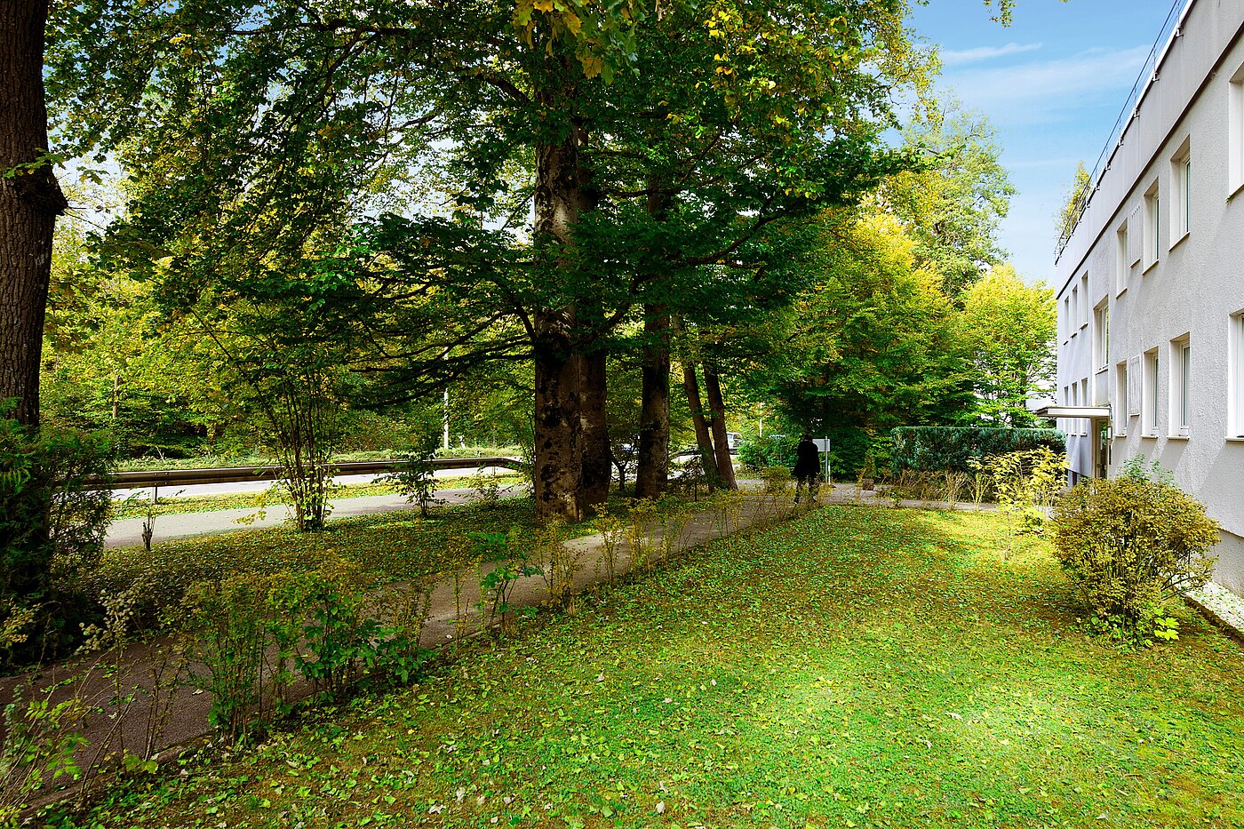 Appartamento a 1 camera | München-Solln | 70137 | Grüne Aussichten