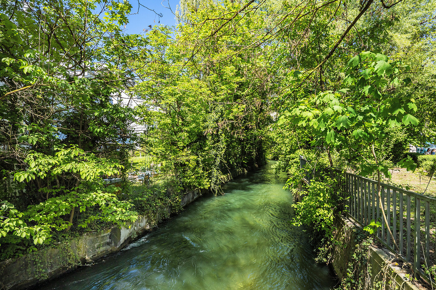 Appartamento a 4 camere | München-Au | 70423 | Umgebung