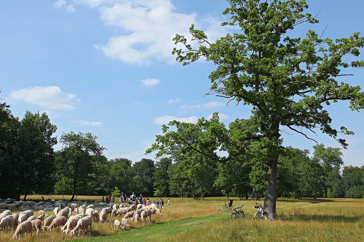 Appartamento a 1 camera | München-Freimann | 2105ML4 | Englischer Garten
