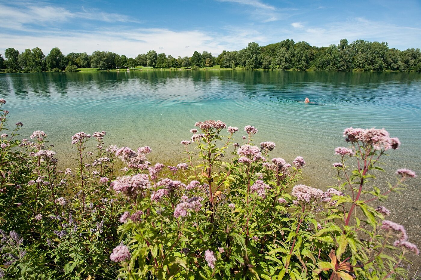 Appartamento a 3 camere | Karlsfeld | 1904ML1 | ...vom Karlsfelder See