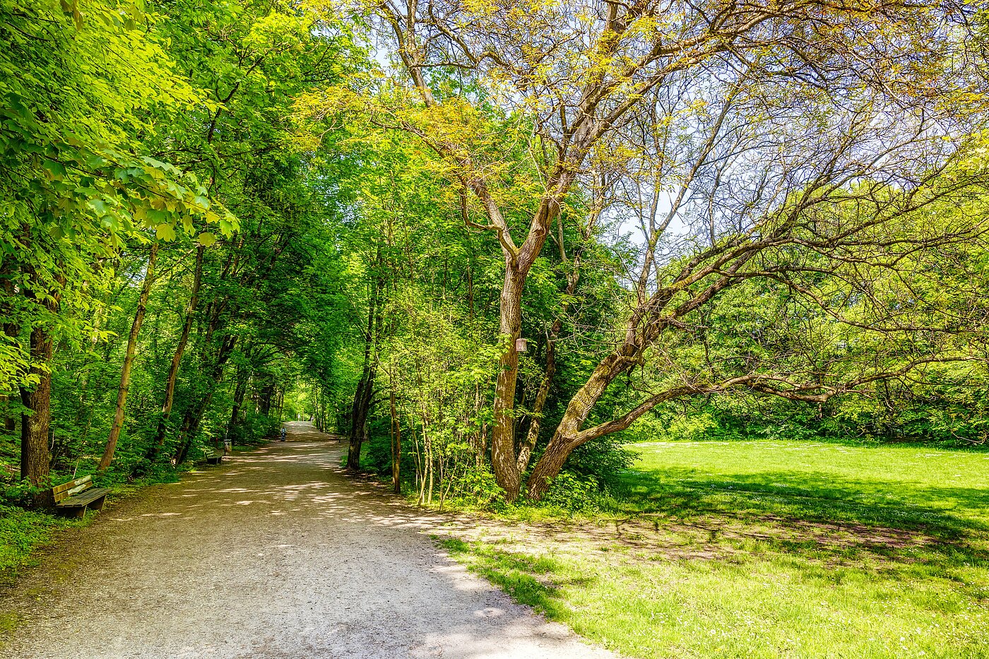 Appartamento a 2.5 camere | München-Sendling | 70067 | Vom Sendlinger Park aus...