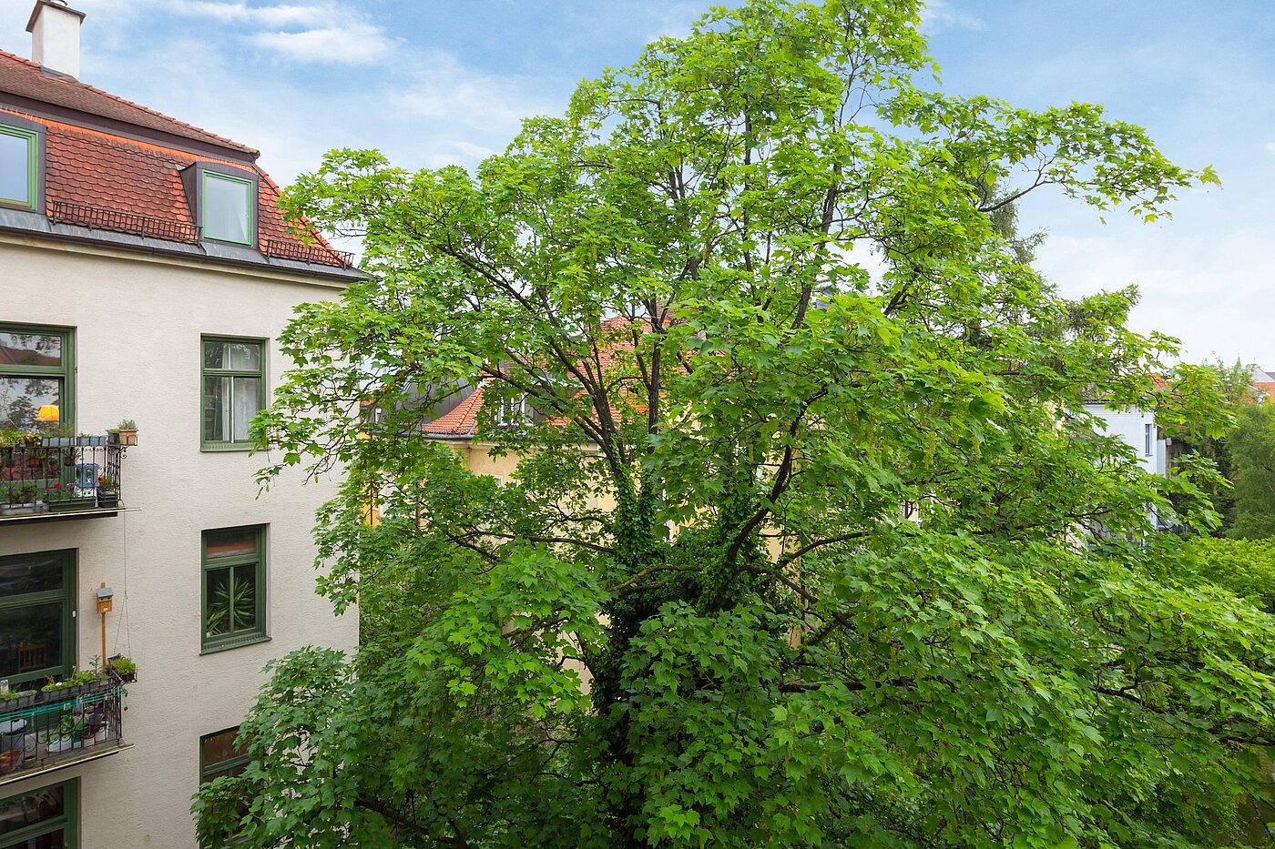 Appartamento a 1 camera | München-Nymphenburg | 2102ML7 | Sommerliche Aussichten...