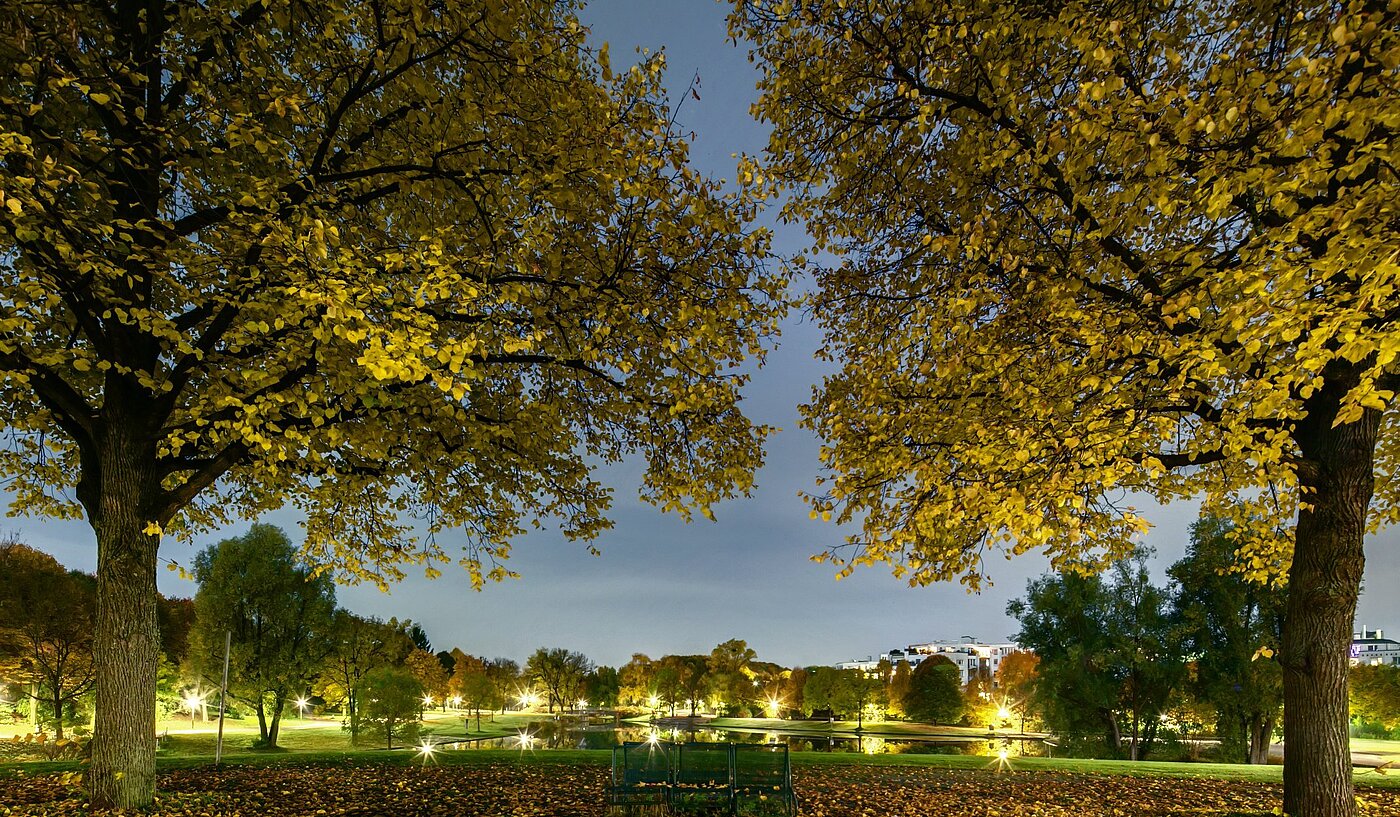 Appartamento a 1 camera | München-Sendling-Westpark | 2008ML1 | Abenddämmerung im Westpark