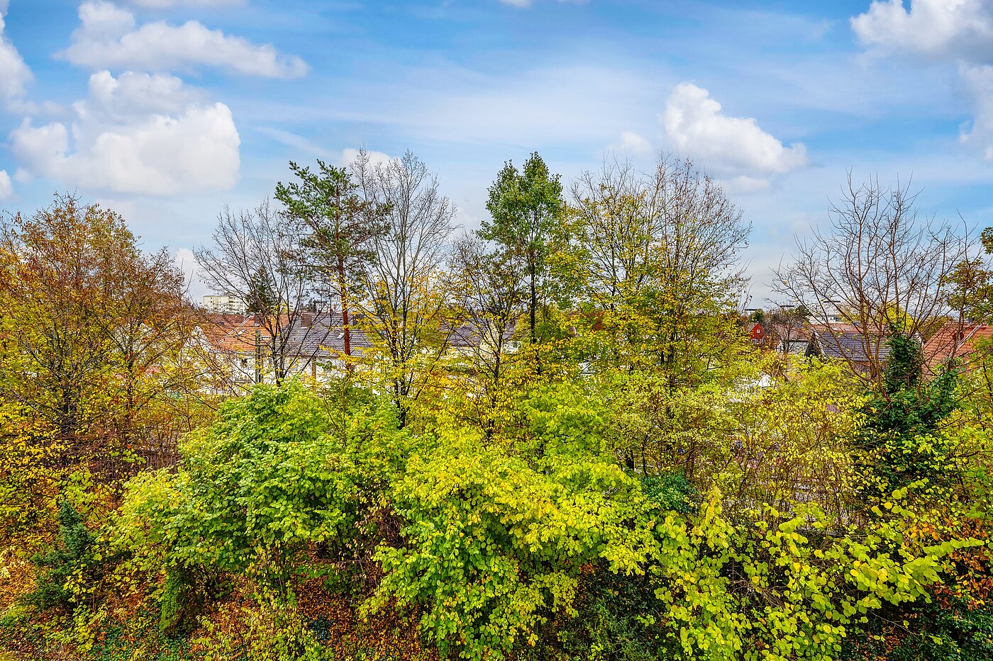 Appartamento a 2 camere | Germering | 70029 | ...grünen Aussichten