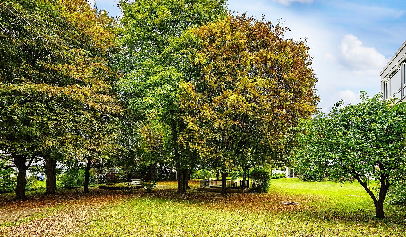 Appartamento a 1 camera | München-Solln | 2109ML4 | Viel Grün um´s Haus...