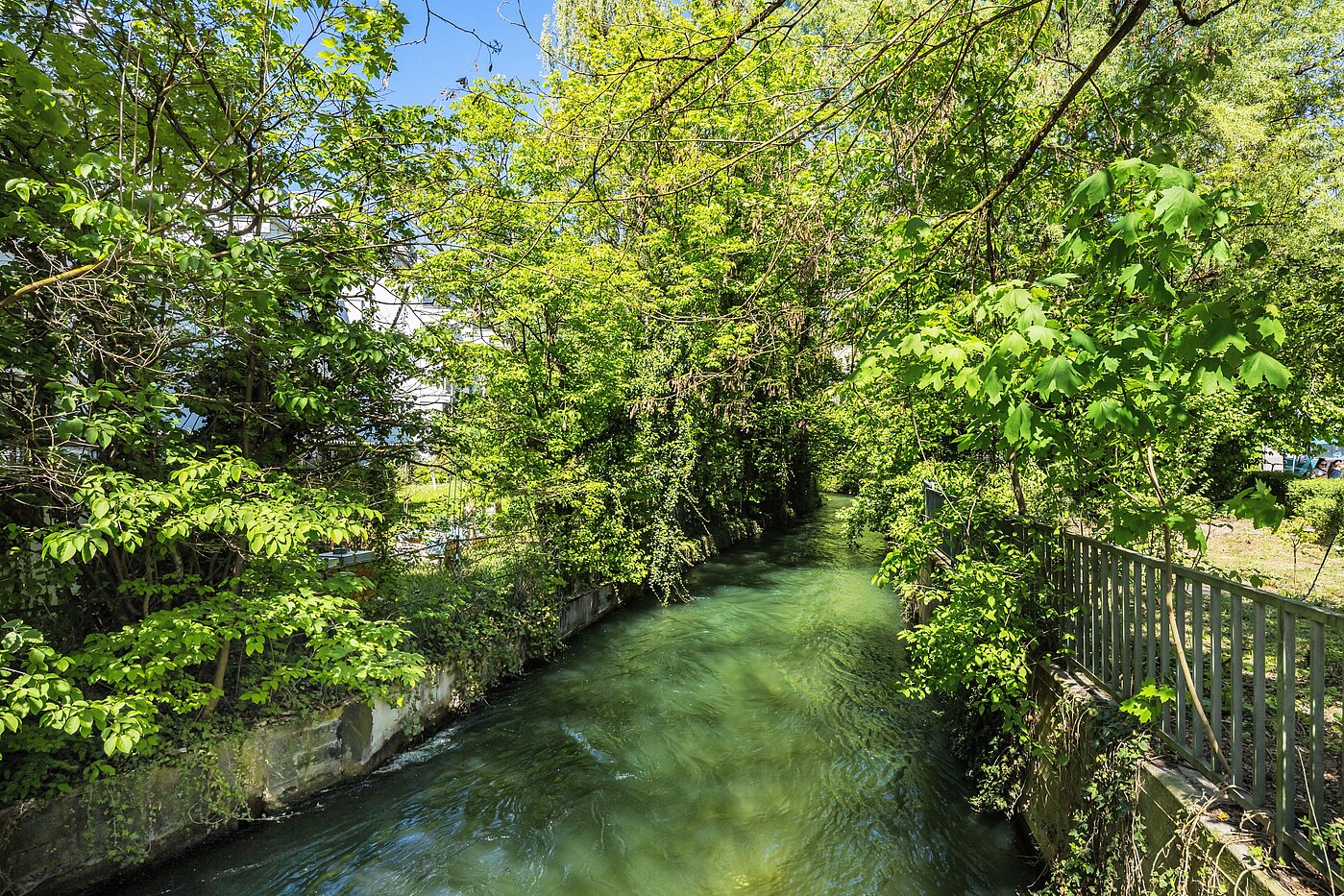 Appartamento a 3 camere | München-Au | 704231 | Umgebung