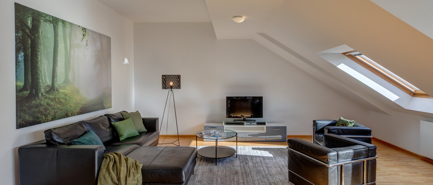 attico con terrazzo München Maxvorstadt - Museumsviertel 01 zona living 1