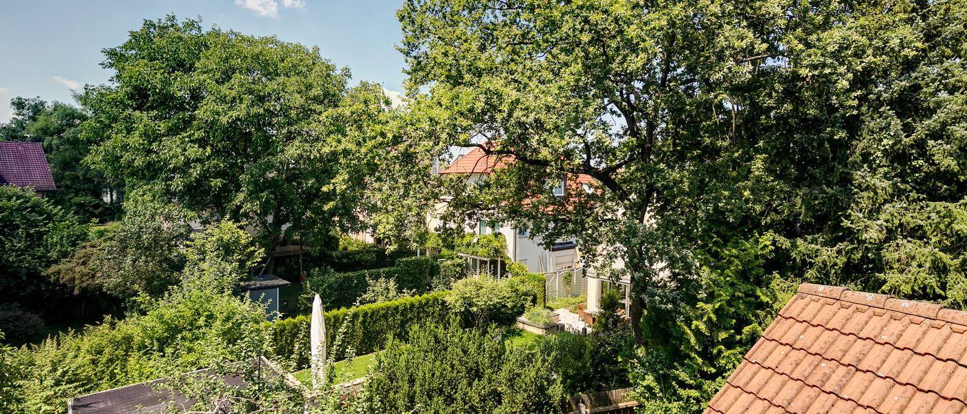 attico München Obermenzing 03 vista 10079