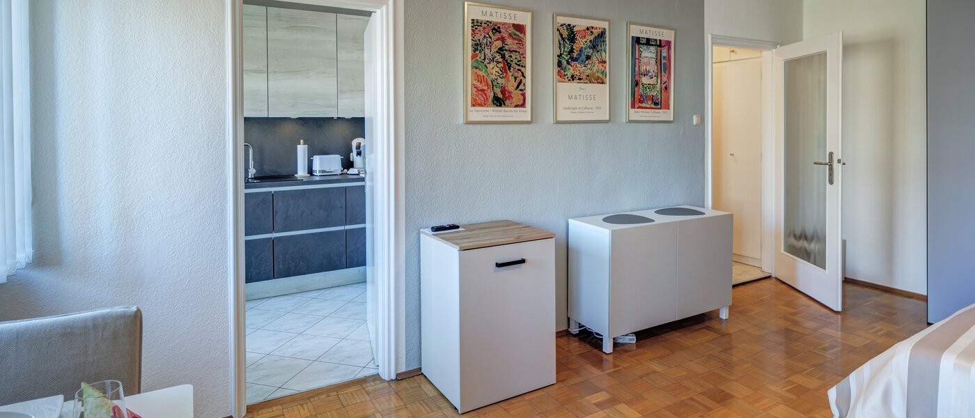 appartamento München Obergiesing 04 zona living 10117