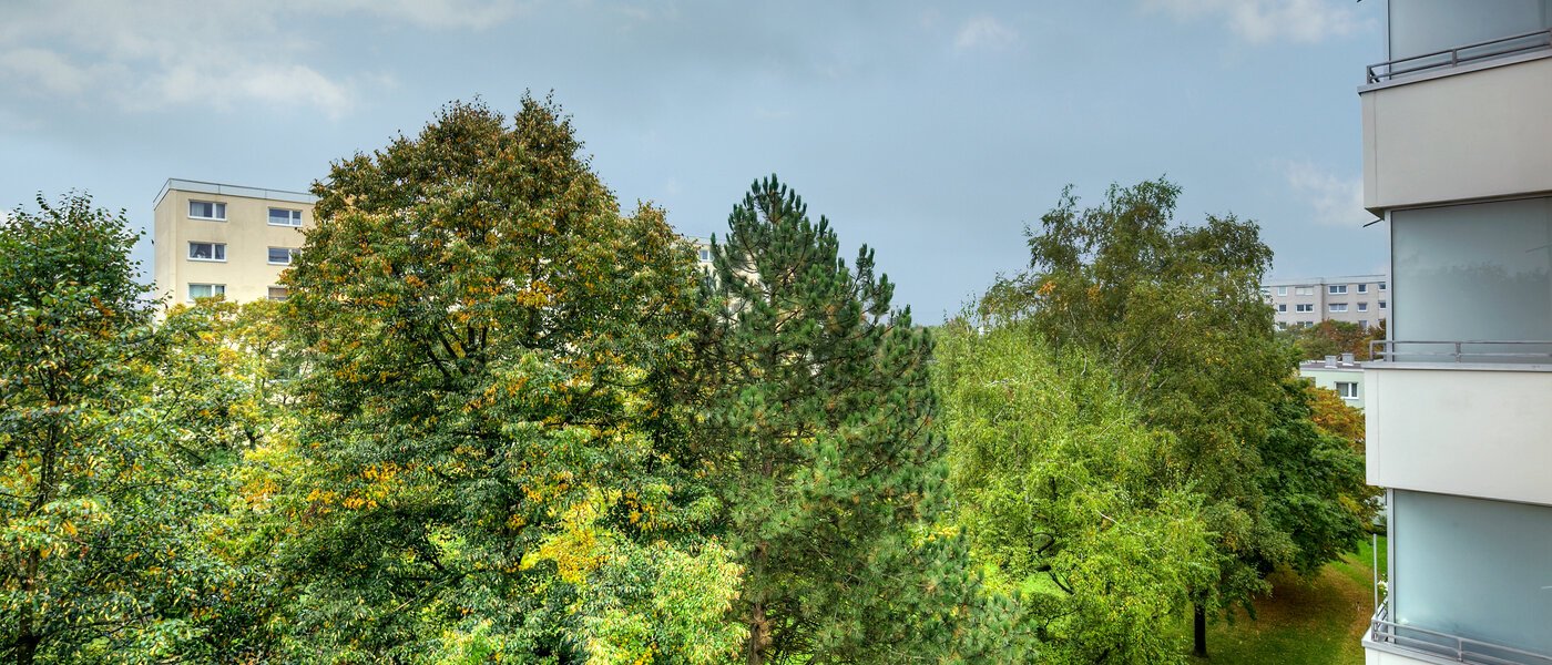 appartamento München Englschalking 02 vista 10225