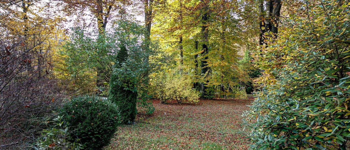 appartamento München Harlaching 01 giardino 10257