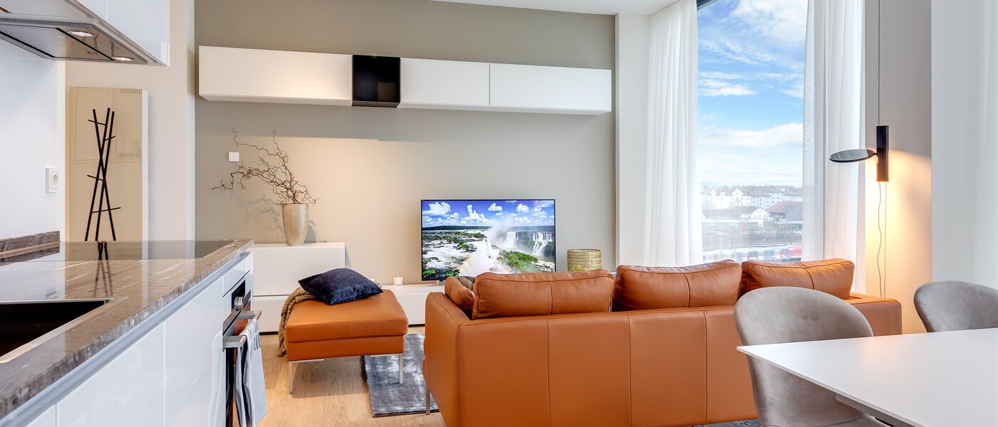 appartamento München Nymphenburg 06 soggiorno 10338