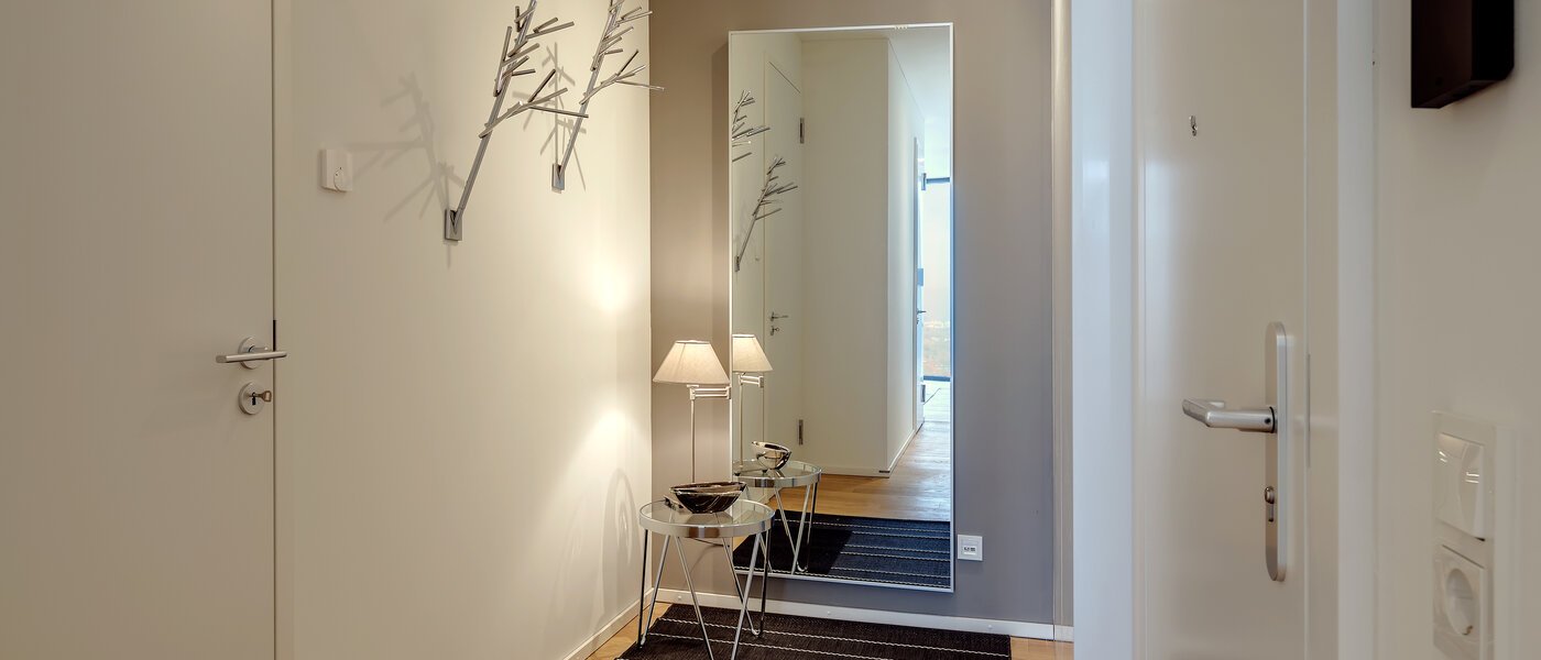 Loft München Nymphenburg 01 ingresso/corridioio 10348