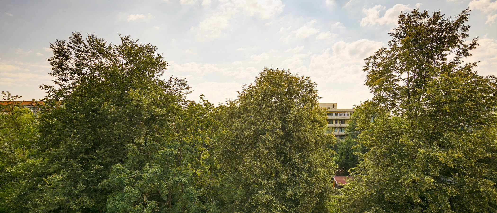 appartamento München Sendling-Westpark 02 vista 10496