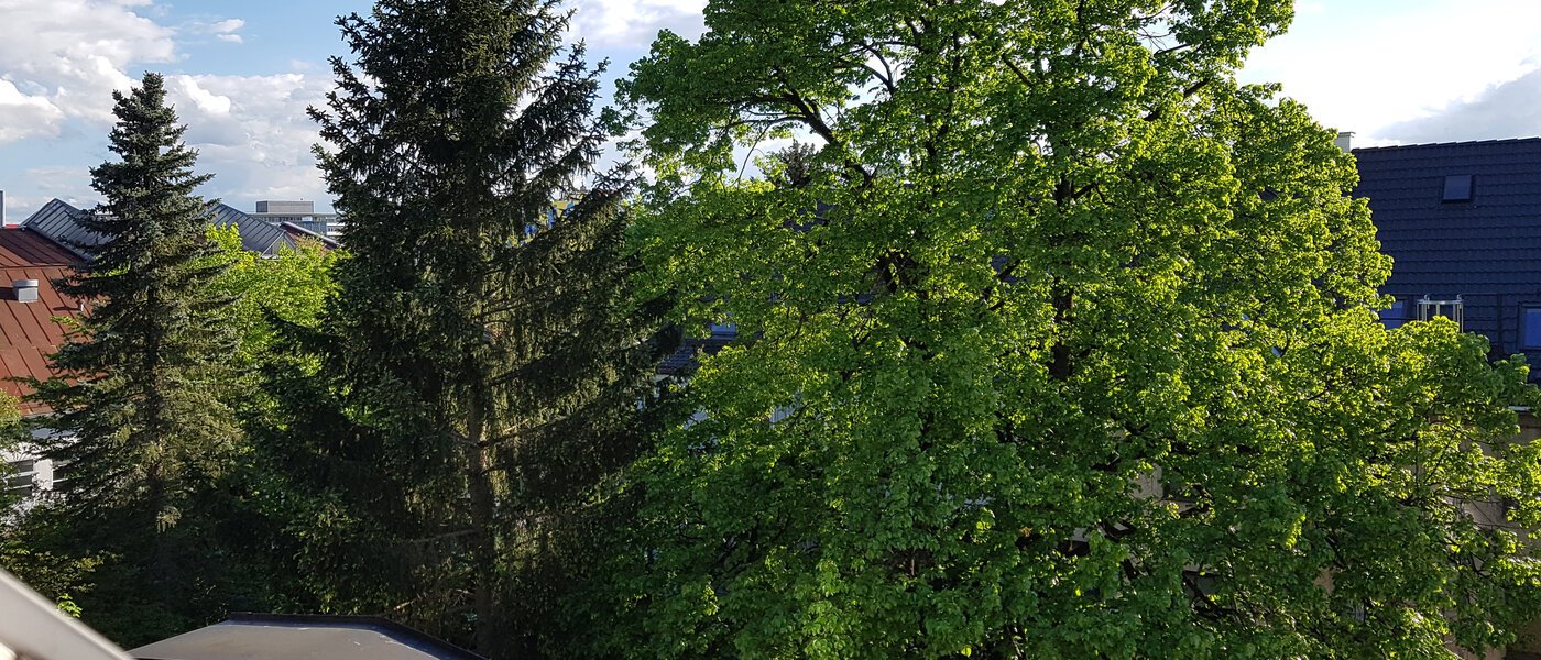 attico München Obersendling 06 vista 10566